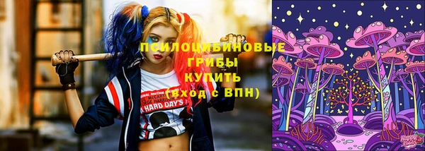 стафф Абдулино