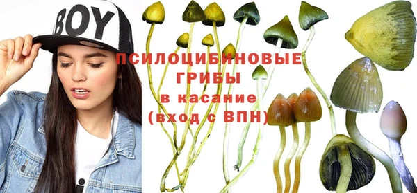 каннабис Абаза