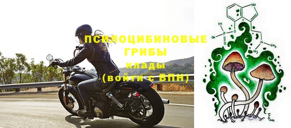 молекула духа Абинск