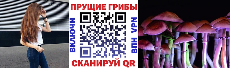 Галлюциногенные грибы Psilocybine cubensis купить Электрогорск